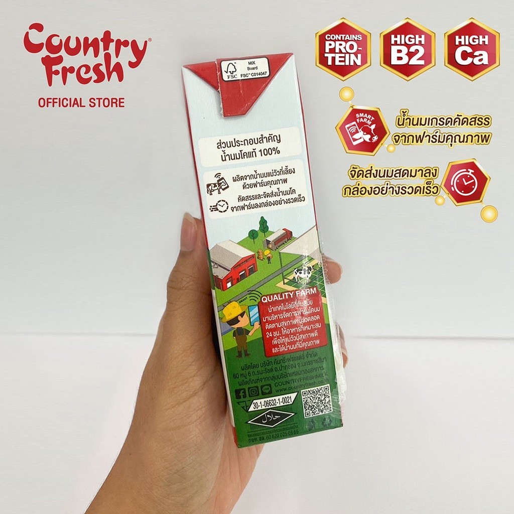 รูปภาพ 2