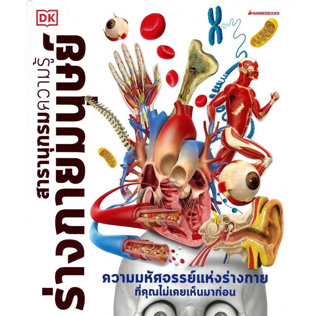 หนังสือ ร่างกายมนุษย์: สารานุกรมความรู้ (ปกแข็ง) ผู้เขียน: DK สำนักพิมพ์: นานมีบุ๊คส์/nanmeebooks