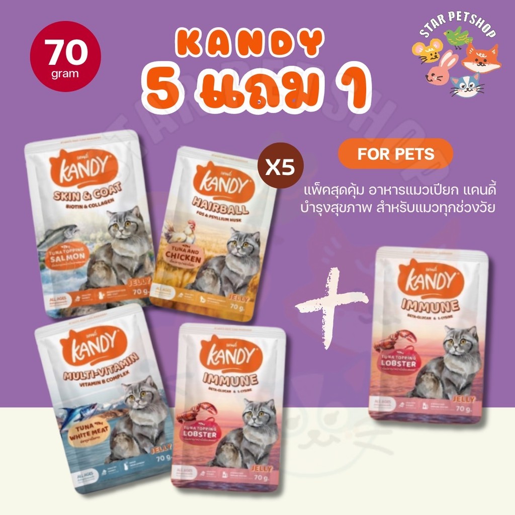 {5แถม1 } Kandy อาหารเปียก Holistic Grain Free ทูน่าเนื้อขาว ไม่เติมเกลือ สูตรดูแลสุขภาพ 70 กรัม