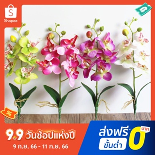 Pota ดอกกล้วยไม้ประดิษฐ์ ผีเสื้อ Diy สําหรับตกแต่งเวที ปาร์ตี้ งานแต่งงาน บ้าน 1 ชิ้น