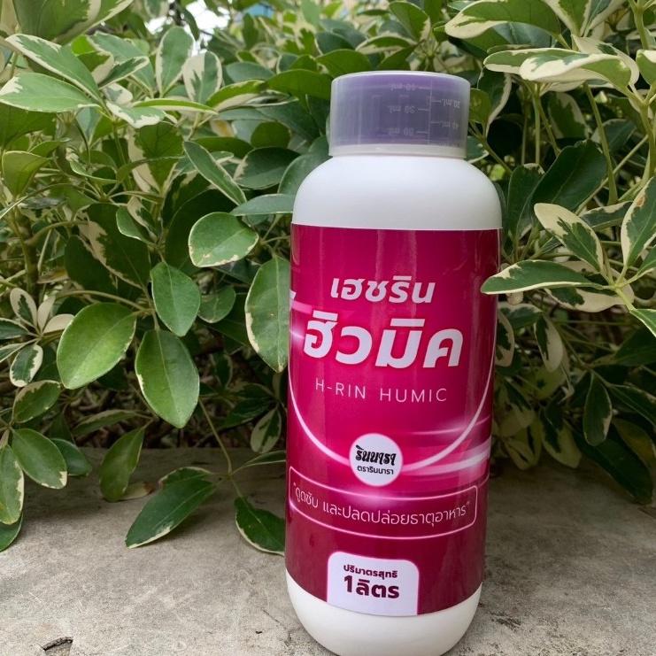 อะมิโน ไคโตซาน ฮิวมิค สาหร่ายผลิตภัณฑ์ชนิดน้ำ สารสกัดจากธรรมชาติ 100% มี 4 สูตร ให้เลือกใช้งาน ราคา ถูกที่สุด ดีลบีเคเค แกลเลอรีภาพที่ 3