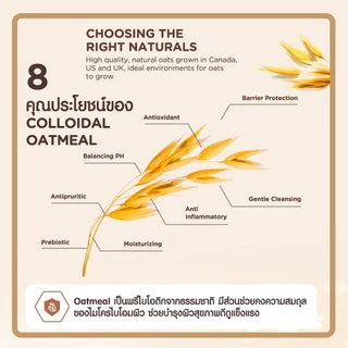 อาวีโน่เบบี้ โลชั่นเด็ก เดลี่ มอยส์เจอร์ โลชั่น 227 ก. Aveeno Baby Daily Moisture Lotion 227 g.