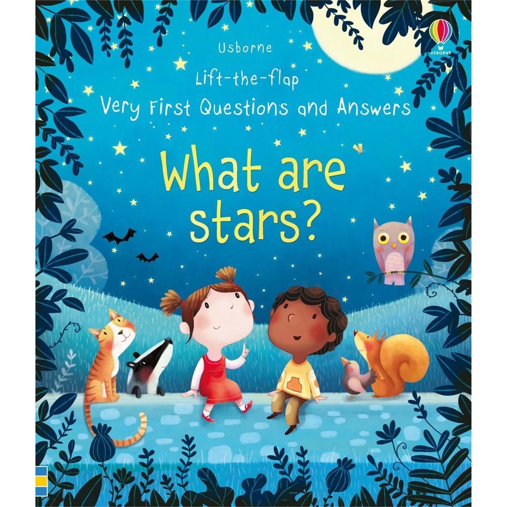DKTODAY หนังสือ USBORNE LIFT-THE-FLAP VERY FIRST Q&A: WHY DO I HAVE TO GO TO SCHOOL? (AGE 3+)
