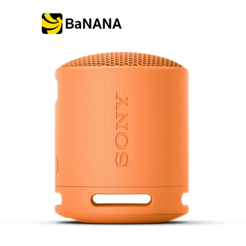 ลำโพง Sony SRS-XB100 By Banana IT