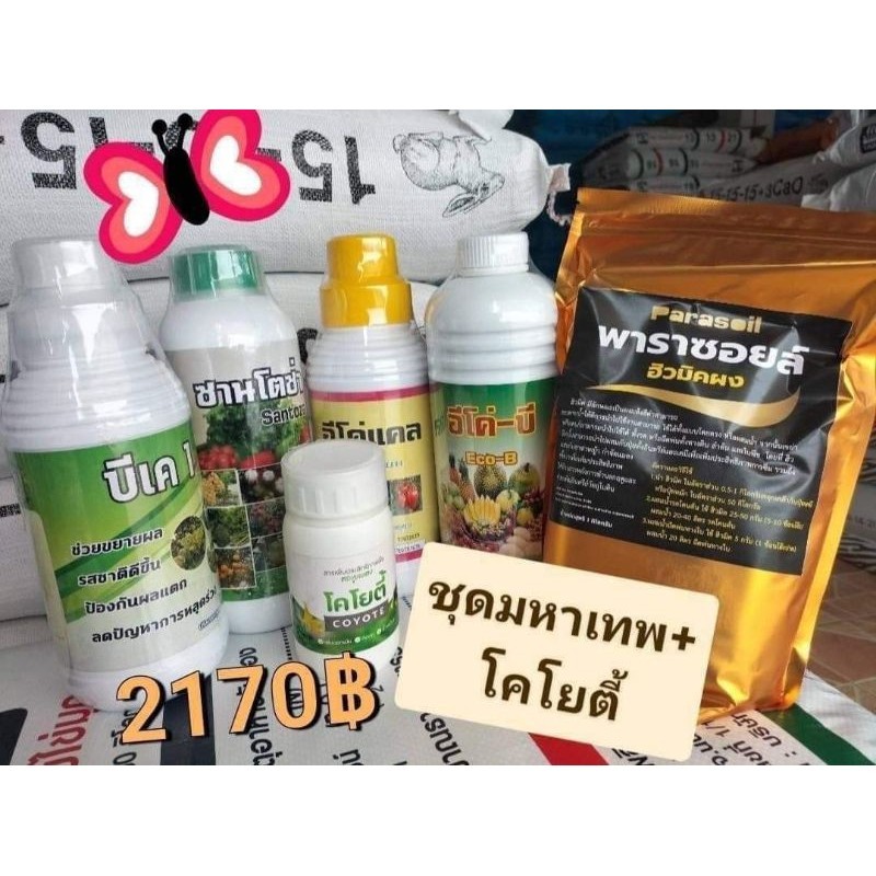 ชุดฮอร์โมนตั้งแต่เตรียมดินจนเก็บผลออกตลาด#ฮอร์โมนมหาเทพ #มหาเทพ #โคโยตี้