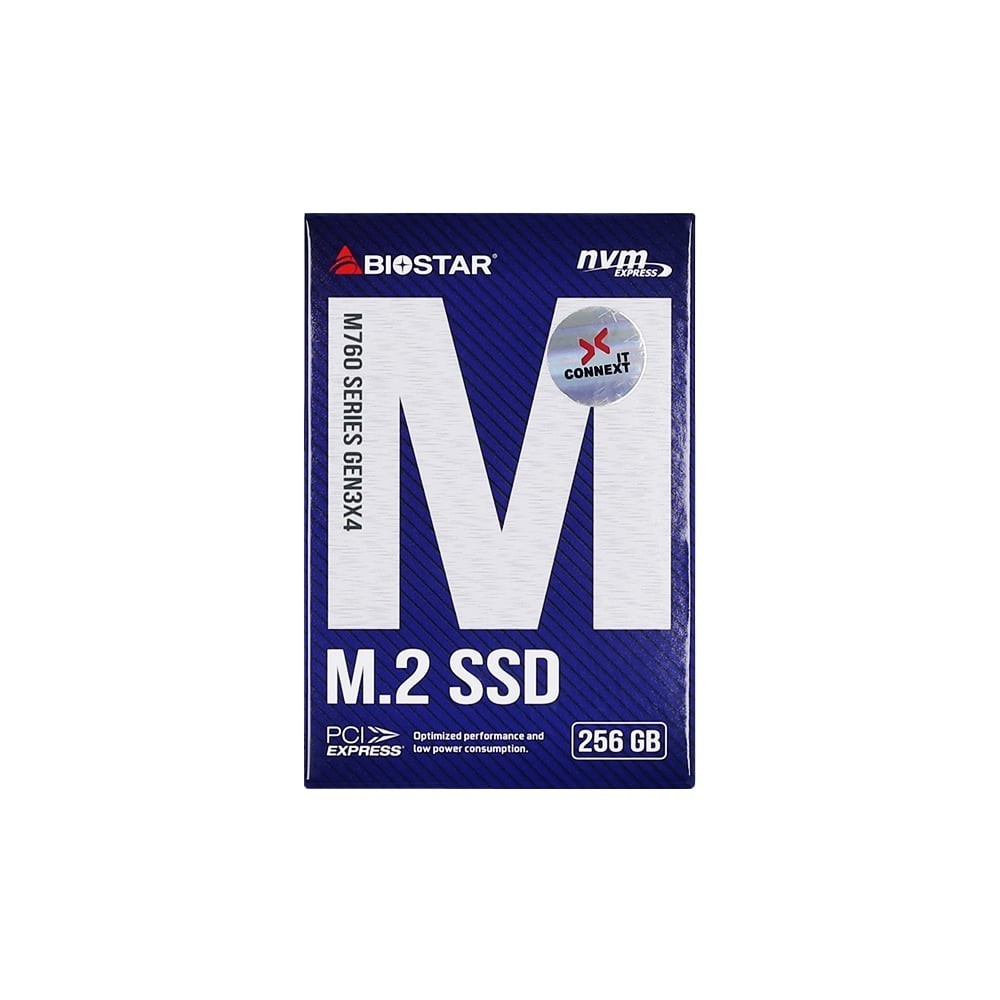 256 GB SSD BIOSTAR M760 - PCIe 3/NVMe M.2 2280