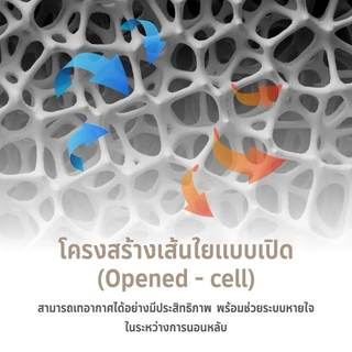 LOTUS หมอนหนุน รุ่น MicroDownia นุ่มดุจขนห่าน รองรับต้นคอ หลับสบายทุกคืน