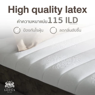 LOTUS ที่นอนยางพาราไฮบริด (สเปคแน่นสบาย) รุ่น Spring Free II หนา 9 นิ้ว ส่งฟรี