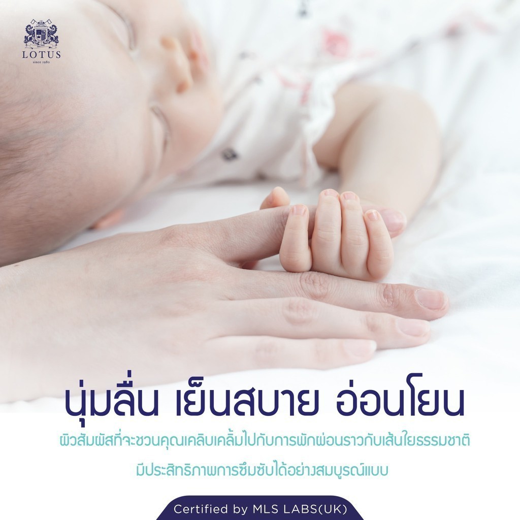 LOTUS ผ้ารองกันเปื้อนกันไวรัส ViroClean ส่งฟรี