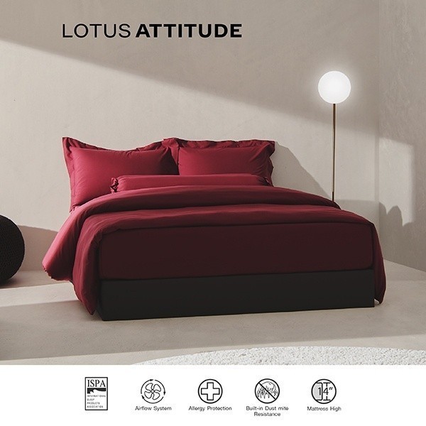 LOTUS ATTITUDE ชุดผ้าปู + ผ้านวม สัมผัสนุ่ม ดุจใยไหม ความละเอียด 490 เส้น รุ่น Basic ส่งฟรี