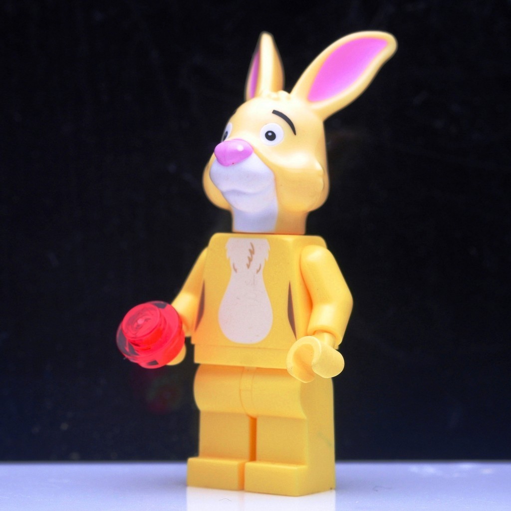 Lego LEGO Ideas Rabbit *used (มือสองมีตำหนิ)