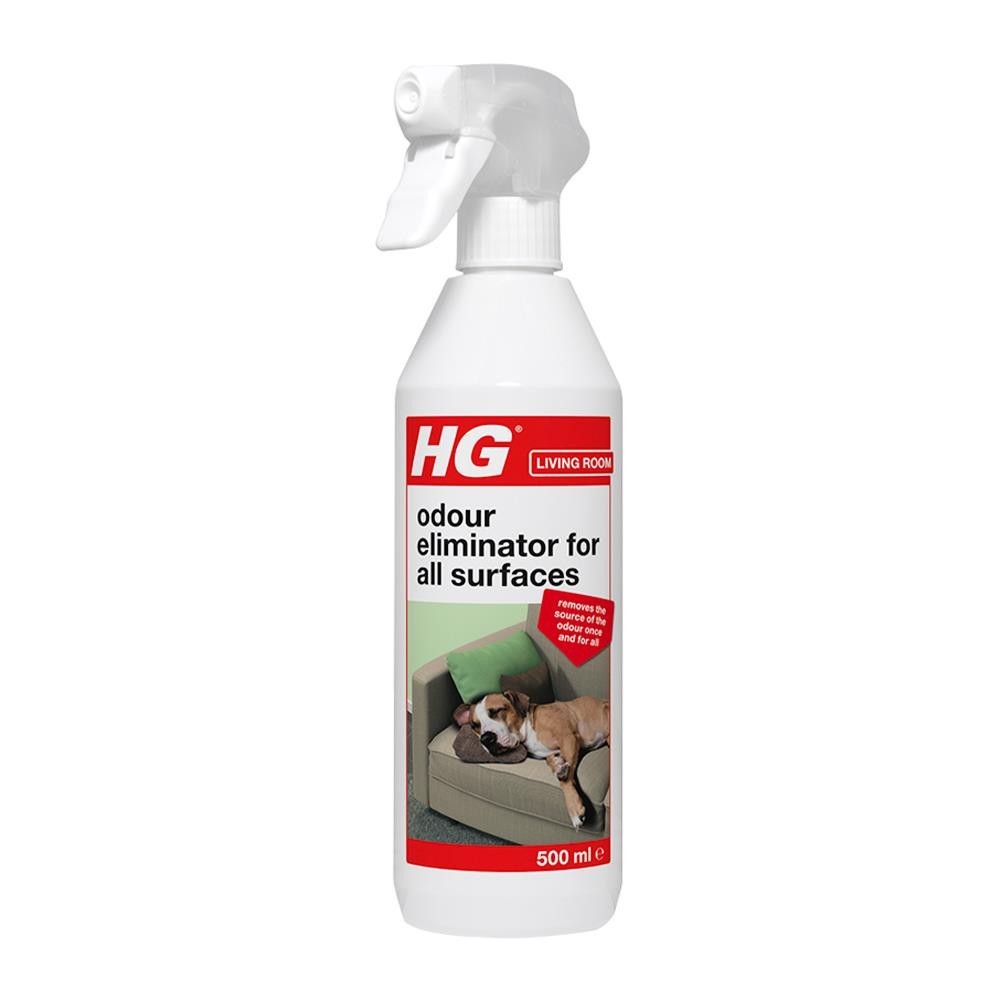 HomePro สเปรย์กำจัดกลิ่นเหม็นทั่วไป 500ml แบรนด์ HG