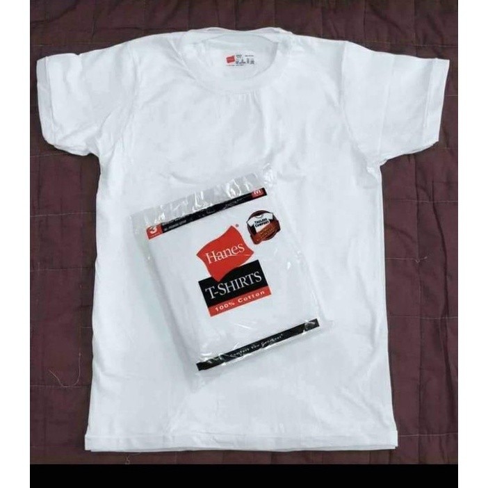 【COD】3 In 1 Pack Hanes Original t shirt For MenVneck & RoundNeck