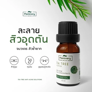 Plantnery Tea Tree Oil Acne Spot 10 ml แพลนท์เนอรี่ น้ำมันที ทรี เข้มข้น สำหรับ แต้มสิว