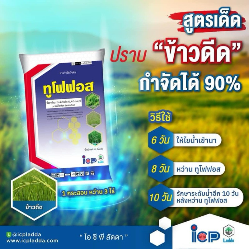 ทูโฟฟอส (15 กิโลกรัม) คุมหญ้า กำจัดข้าวดีด หญ้าข้าวนก หญ้าดอกขาว หญ้าแดง ผักปอดนา หนวดปลาดุก และกก