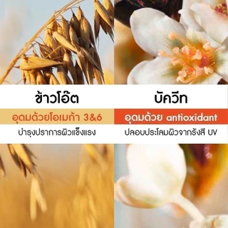 [แพ็คคู่] อีฟ โรเช Yves Rocher Oat & Buckwheat Body Lotion & Shower Gel เจลอาบน้ำ โลชั่นบำรุงผิว กลิ่นโอ๊ต-บัควีท