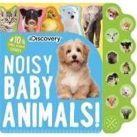 Discovery: Noisy Baby Animals! (10-button Sound Books) (Board Book) [Hardcover]