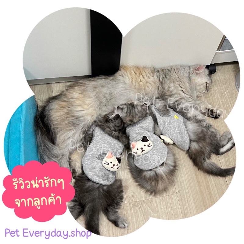 🔥ส่งฟรี 🇹🇭🔥เสื้อสัตว์เลี้ยงแรกเกิด ชุดลูกแมว สัตว์ขนาดเล็ก - รูปที่ 2