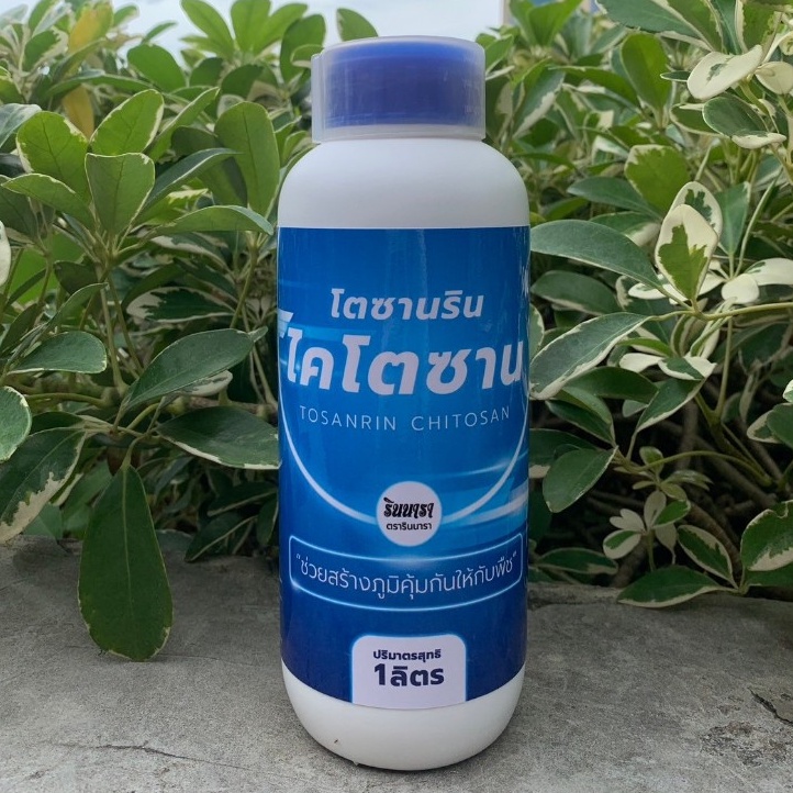 อะมิโน ไคโตซาน ฮิวมิค สาหร่ายผลิตภัณฑ์ชนิดน้ำ สารสกัดจากธรรมชาติ 100% มี 4 สูตร ให้เลือกใช้งาน ราคา ถูกที่สุด ดีลบีเคเค แกลเลอรีภาพที่ 2