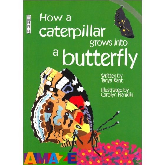 DKTODAY หนังสือ AMAZE: HOW A CATERPILLAR GROWS INTO A BUTTERFLY