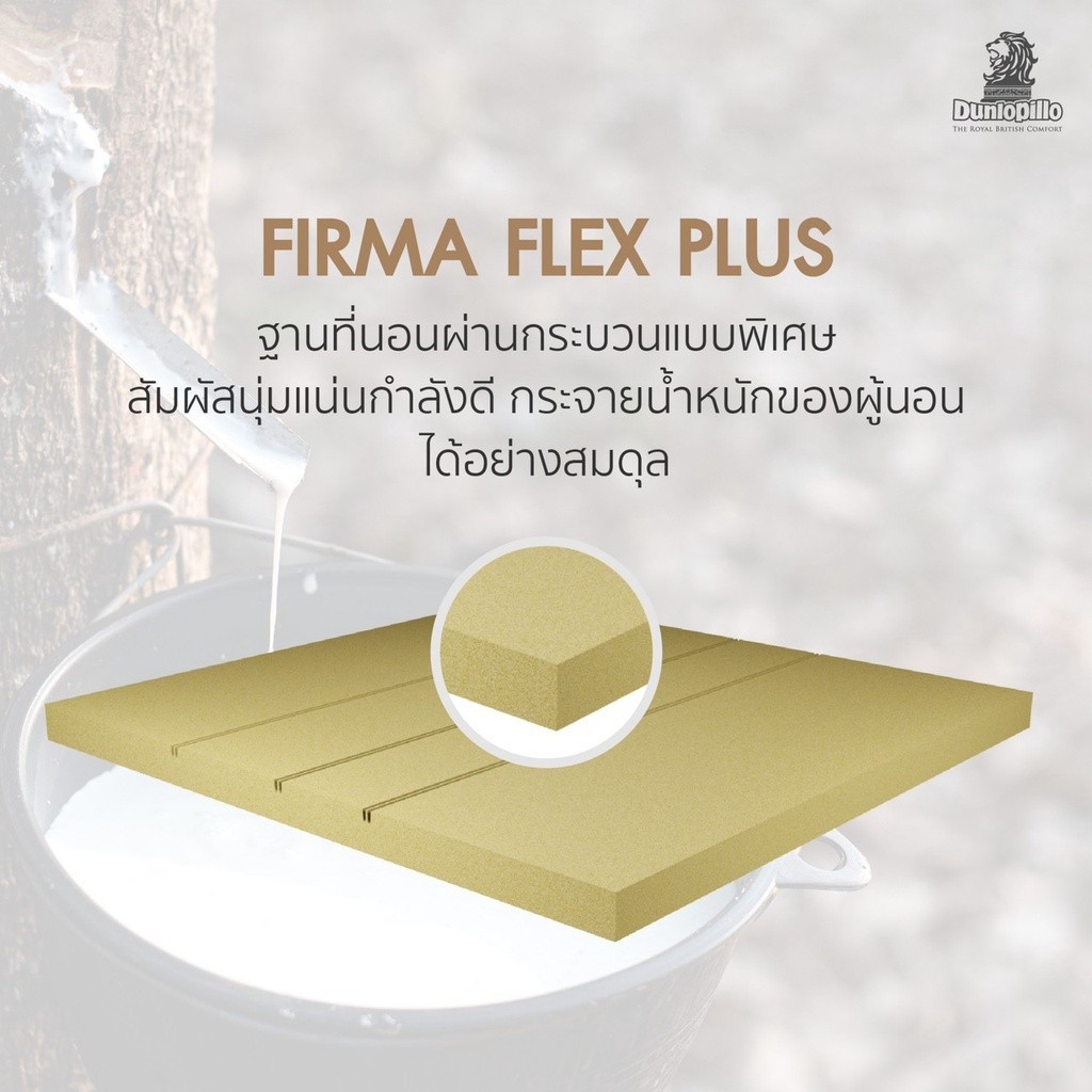 [ฟรี!ชุดผ้าปู] Dunlo