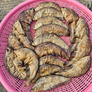 ปลาฉลาด(เล็ก)ย่างรมควัน โขลกง่าย  ขนาด(20-30ตัว/กก)