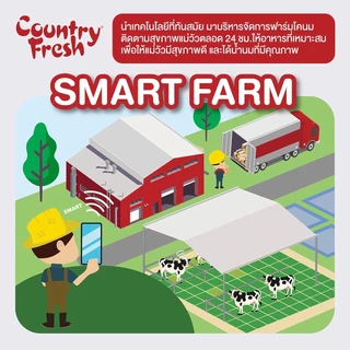 Country Fresh นมจืดยูเอชที นมกล่องพร้อมดื่ม ขนาด 180 มล. (36 กล่อง/ขายยกลัง) [ FR-180-CARTON ]