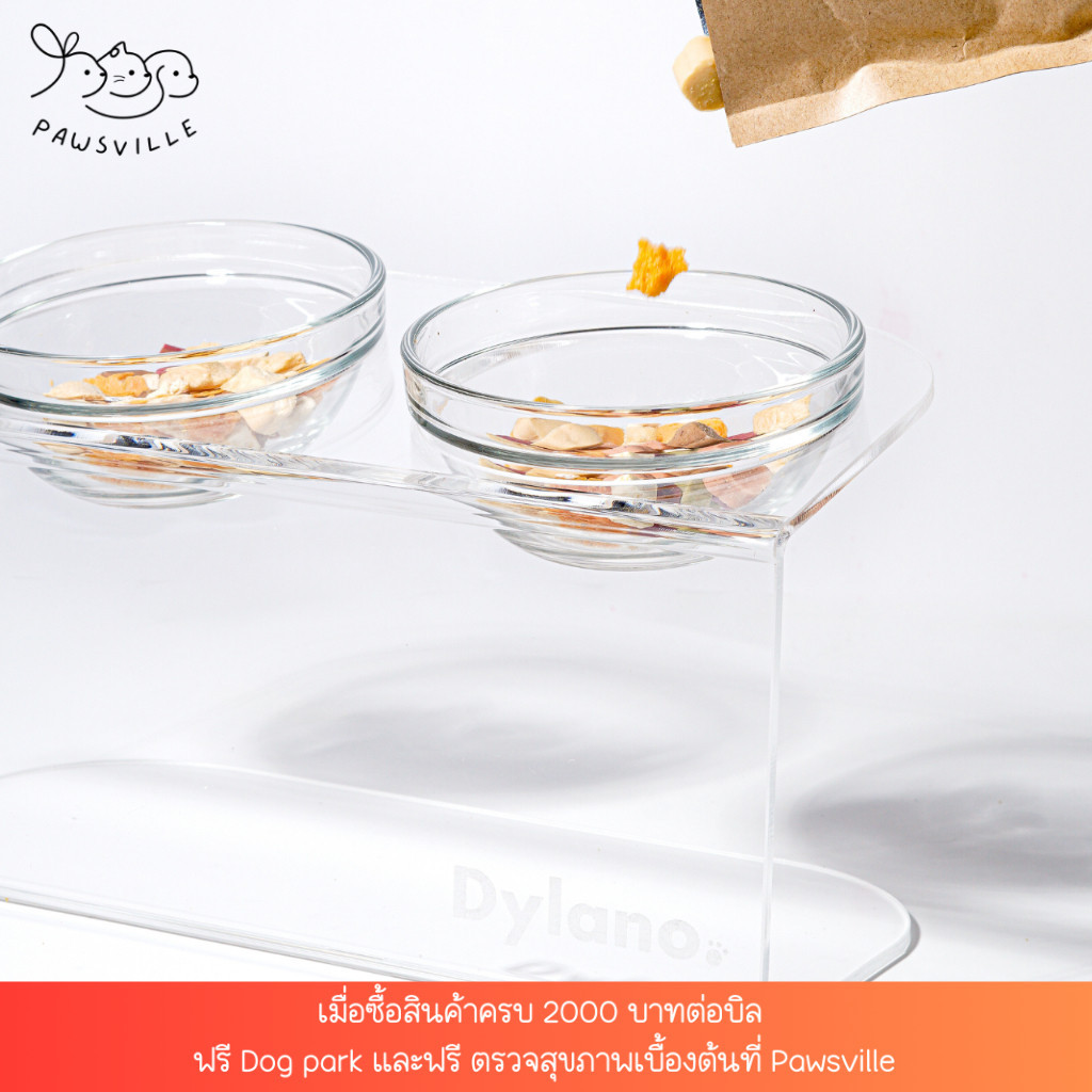 ชามอาหารสัตว์เลี้ยงยกสูงปรับองศา Dylano Elevated Pet Bowl