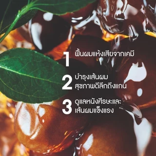 อีฟ โรเช Yves Rocher Repair Shampoo 300 มล. แชมพูแก้ผมเสีย - รีแพร์ถึงแกน คืนเส้นผมนุ่มลื่น มีชีวิตชีวา