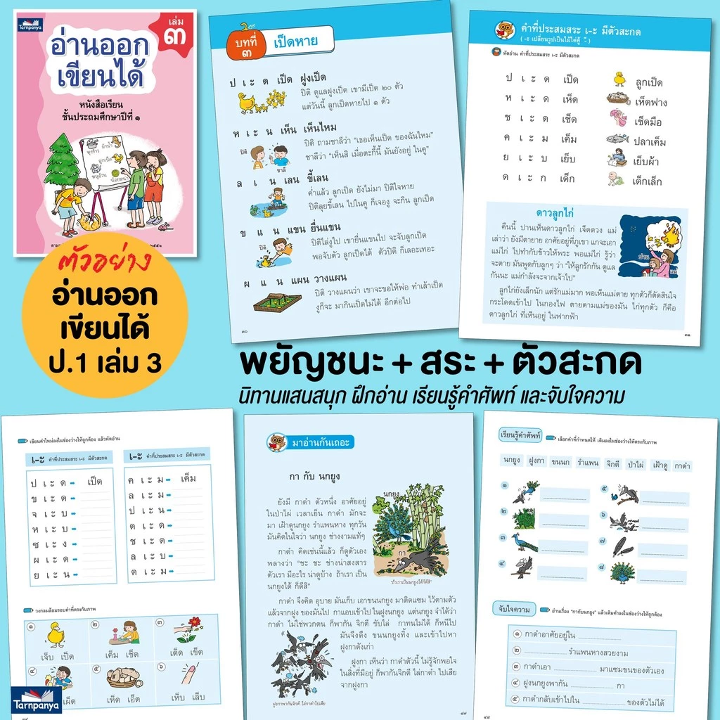 หนังสือเด็ก อ่านออกเขียนได้ แบบฝึกอ่านเขียนภาษาไทย ระดับอนุบาล ป1 ป2 ป3 ธารปัญญา thumbnail 6