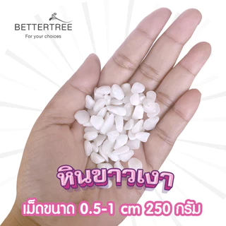หินขาวเงา 250 กรัม หินแม่น้ำ หินตกแต่งสวนถาด หิน