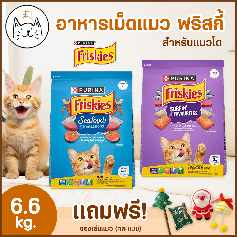 KUMAま FRISKY อาหารเม็ดแมว ฟริสกี้ สำหรับแมวโต ฟริสกี้ส์ 6.6 Kg. แถมฟรี! ไม้ทาทาบิ คริสมาสต์สุด cute (คละแบบ)