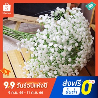 Pota ดอกยิปโซประดิษฐ์ ผ้าไหม Diy สําหรับตกแต่งบ้าน งานแต่งงาน ปาร์ตี้ 1 ชิ้น