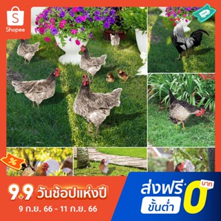 รูปปั้นไก่อะคริลิค เหมือนจริง สองด้าน สําหรับตกแต่งสวน