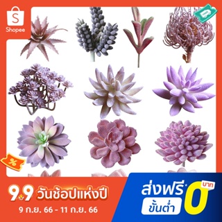 Pota พืชอวบน้ําประดิษฐ์ DIY สําหรับตกแต่งโต๊ะทํางาน บ้าน ออฟฟิศ 1 ชิ้น