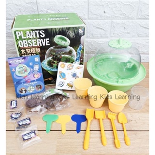 🏅Kids learning🏅Plants Observe ของเล่นวิทยาศาสตร์ เรียนรู้การเจริญเติบโตของพืช