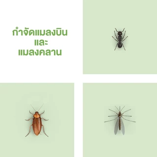 ไบกอน จีโอ สเปรย์กำจัดยุง ยาฉีดยุง มด แมลงสาบ 600 มล.