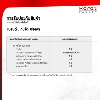 Karat Faucet ก๊อกเดี่ยวอ่างล้างหน้าแบบก้านปัด (สเตนเลส 304) รุ่น KF-79-100B-63