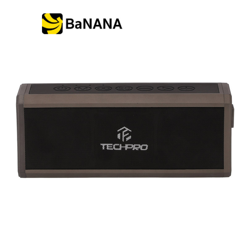 ลำโพงปาร์ตี้ TECHPRO Party Maxx TP43 Cool Grey by Banana IT