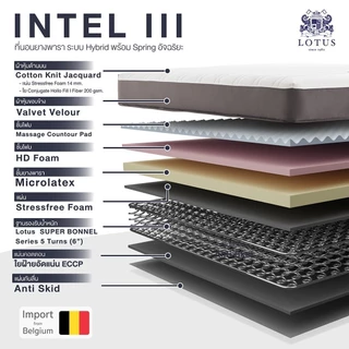 LOTUS ที่นอนยางพาราแท้ นอนสบายไม่ยวบ ลดการปวดเมื่อย นำเข้าจากเบลเยี่ยม รุ่น Intel