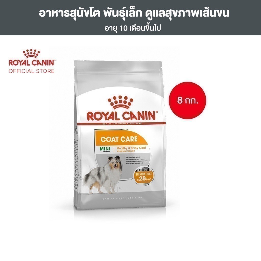 Royal Canin Mini Coat Care8kg อาหารเม็ดสุนัขโต พันธุ์เล็ก ดูแลสุขภาพเส้นขน อายุ10เดือนขึ้นไป (Dry Dog Food, โรยัล คานิน)