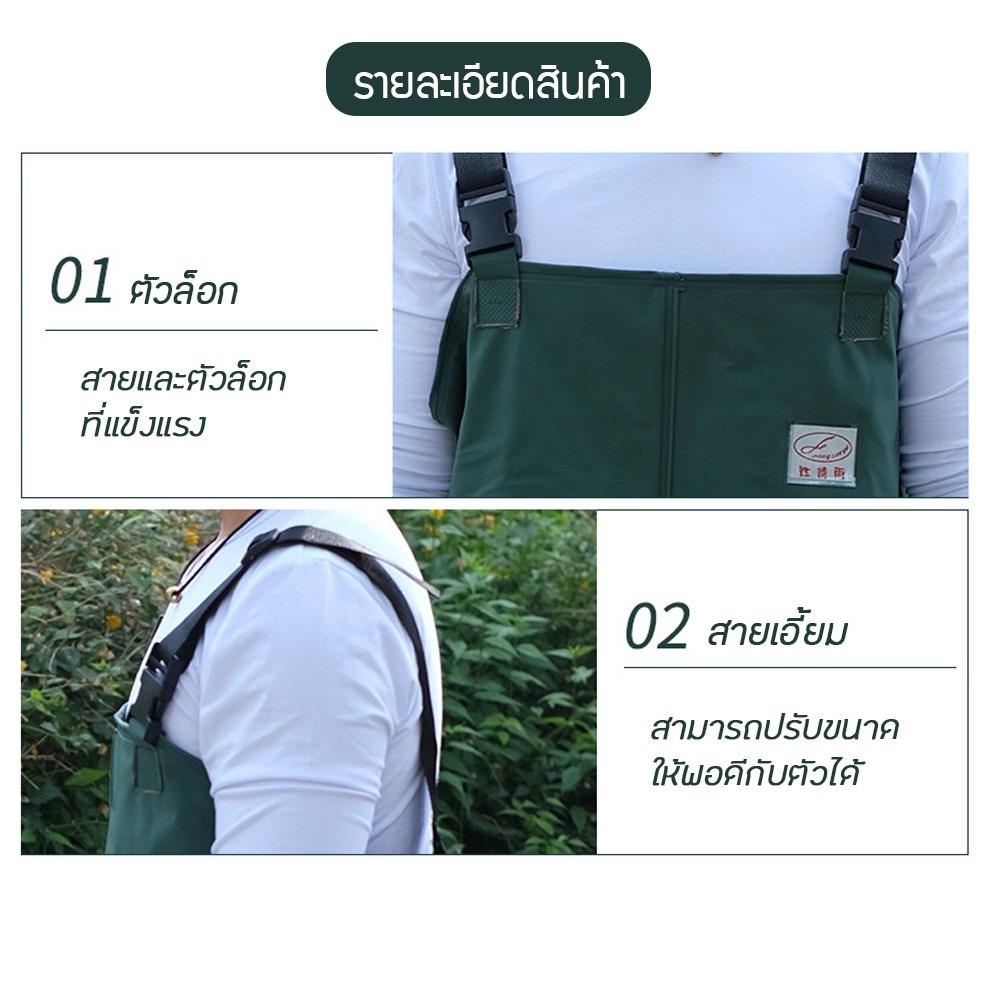 รูปภาพ 3