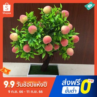 ต้นบอนไซปลอม พลาสติกธรรมชาติ สําหรับตกแต่งบ้าน