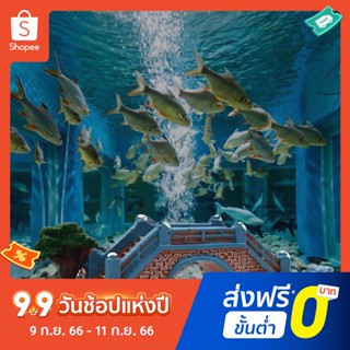 สะพานเรซิ่น เครื่องประดับ สําหรับตกแต่งตู้ปลา