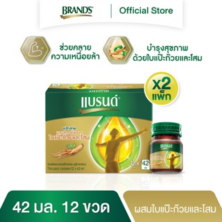 แบรนด์ซุปไก่สกัด ผสมสารสกัดจากใบแปะก๊วยและโสม 42 มล. แพค 12 X 2