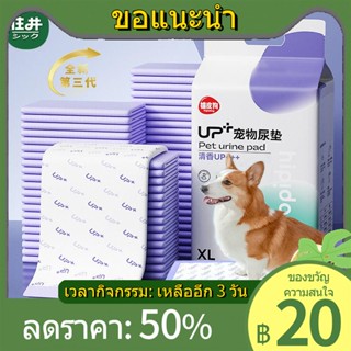 ❍⊙แผ่นซับปัสสาวะสุนัข ผ้าอ้อมดูดซับดับกลิ่น ผ้าอ้อมเท็ดดี้ แพนด้า แมว แผ่นดูดซับ อุปกรณ์สำหรับสัตว์เลี้ยง