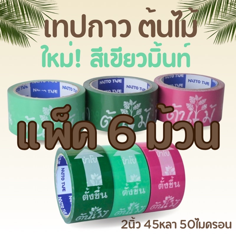 แพค6ม้วน เทปกาว ต้นไม้ บอบบางมาก อย่าโยนระวังหัก กว้าง2นิ้ว ยาว45หลา กาวเหนียวจริง