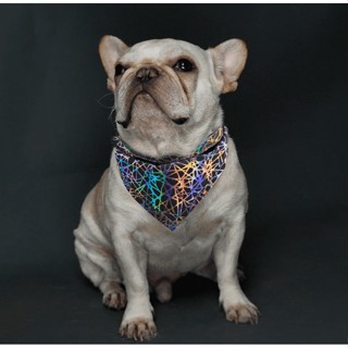 [สินค้าราคาพิเศษ] ปลอกคอ ผ้าพันคอสามเหลี่ยม สะท้อนแสง ปลอกคอ…