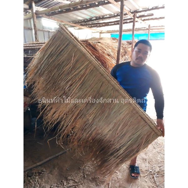 หญ้าคา หญ้าแฝก หญ้ามุงหลังคา หลังคา