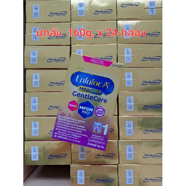 ยกลัง Enfalac Gentle Care 1 ขนาด 160g.x24  เอนฟาแลค เจนเทิล แคร์ 1